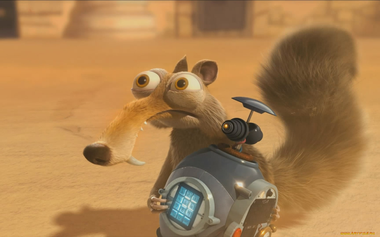 no, time, for, nuts, 